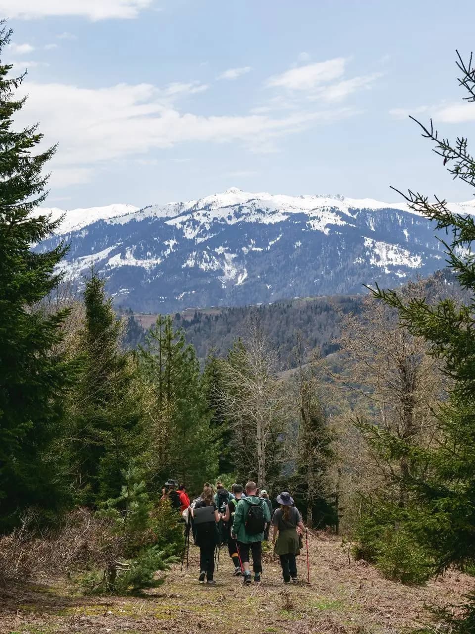 Guided Hikes